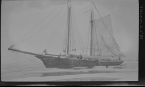 Image of Vessel, one sail up (GODTHAAB?). Dog on ice